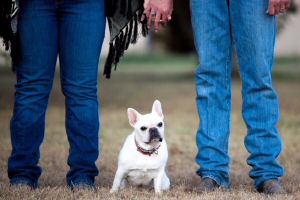 past puppies (3).jpg